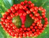 Red Coral Mala Original 